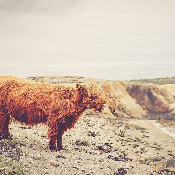 ddos攻击测试工具