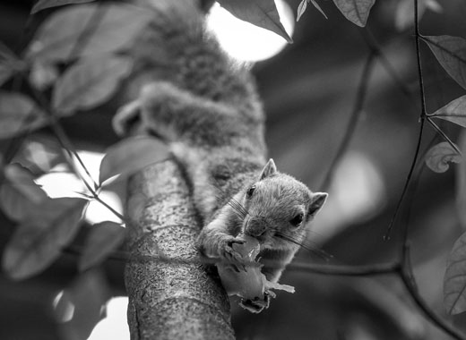 服务器攻击软件